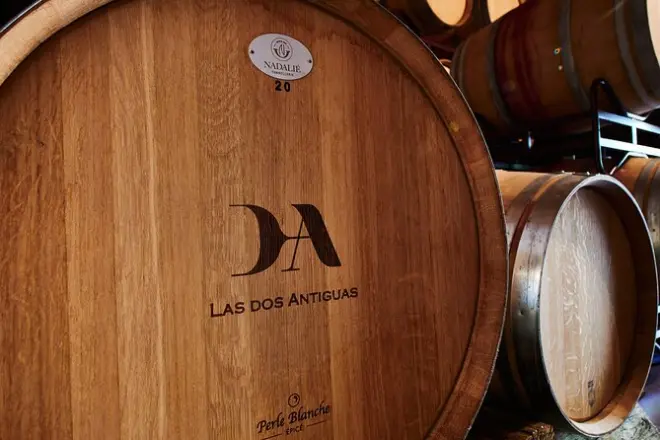 Segovia craft winery tour: Taste 3 wines with tapas