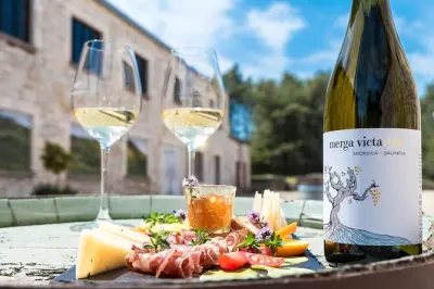 Private Korcula Wine Tour: Pupnatska Luka Road & 5 Tastings
