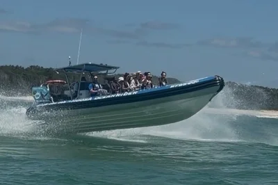 Feel the rush on a noosa dolphin safari—speed past surf beaches, spot wild dolphins, and cruise with a local crew. includes safety gear and small group comfort.