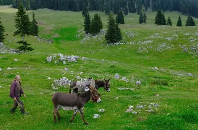 Wanderung Piatra Craiului: Kalksteinrücken & Blick in die Schlucht