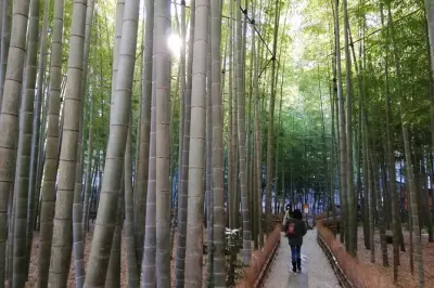 Templos de Kamakura: Tour privado con salida temprana y sin multitudes