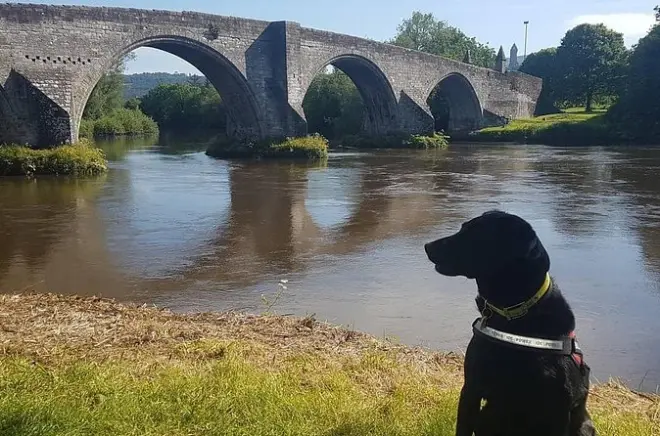 Bataille de Stirling Bridge : Visite du champ de bataille de 1297