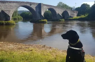 Bataille de Stirling Bridge : Visite du champ de bataille de 1297
