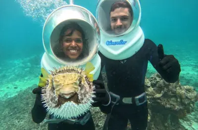 Buceo seawalker en Ishigaki: No se necesita experiencia