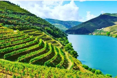 Laissez-vous séduire par la vallée du douro : dégustations privées, balades au bord du fleuve et caves familiales. transfert inclus, guide local, journée adaptée à vos envies.