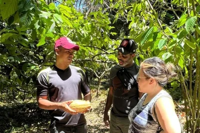 Share chocolate with a bribri family, taste fresh cacao, and swim at a talamanca waterfall on this puerto viejo day trip. includes pickup and fruit snack.