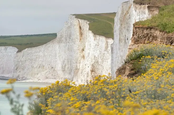 Seven Sisters and Brighton Tour: Coastal cliffs and city history