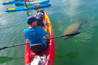 Start from quiet turtle beach on siesta key, paddle sarasota’s mangroves, spot manatees and dolphins, and reach a hidden sandbar—guided tour with all gear included.