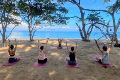 Step through sayulita’s jungle on a guided hike, then unwind with yoga on a quiet beach under the palms. includes mats and all-levels practice. book your spot.