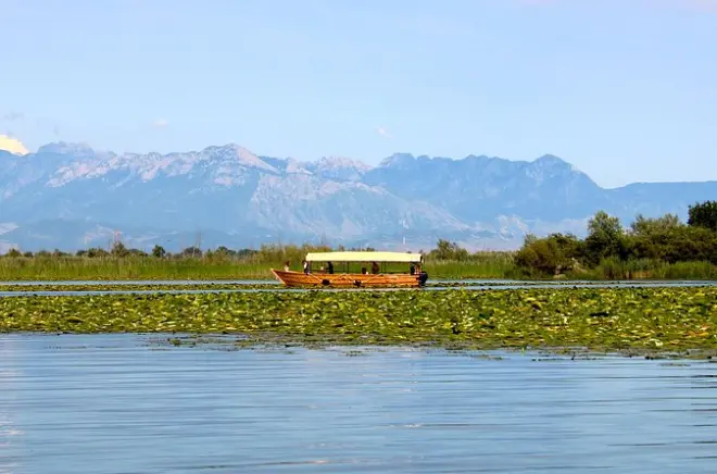 Lake Skadar ab Virpazar: Holzboot und Wein