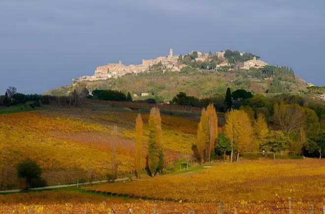 Val d'Orcia vino e formaggio: Due cantine, pranzo, privato