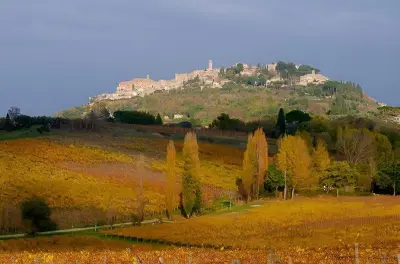 Val d'Orcia vinho e queijo: Duas vinícolas, almoço, passeio privado