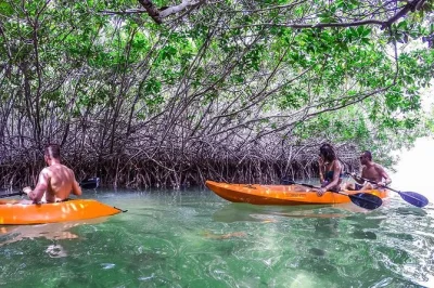 Start at lac cai beach and paddle clear-bottom kayaks through bonaire’s mangroves, then snorkel with a local guide. includes gear, fruit punch, and dutch stroopwafel.
