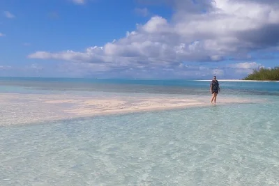 Feel the rush of snorkeling leeward reef, spot rock iguanas, and unwind at sand dollar cove sandbar on this turks & caicos day trip with lunch and drinks included.