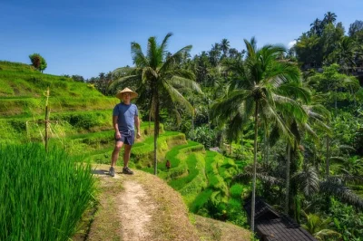 Ubud erleben: private tagestour zu tegenungan wasserfall, tirta empul tempel, tegalalang reisterrassen & affenwald – inklusive abholung.