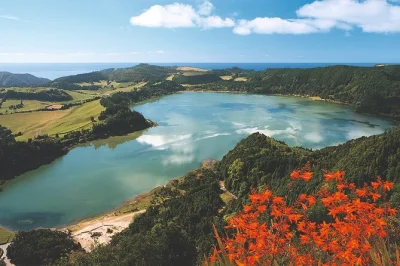 Feel the steam at furnas volcano, taste azorean cozido stew cooked underground, sip mineral springs, and visit europe’s only tea factory—all with pickup included.