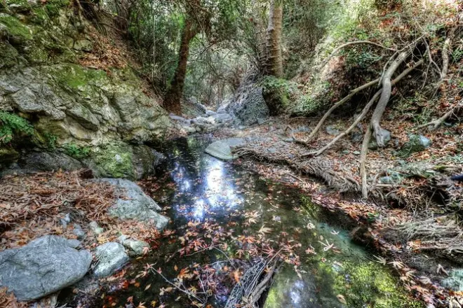 Troodos Jeep Safari: 4x4 Bergtour mit Wasserfällen