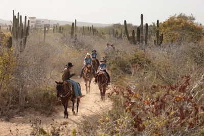 Feel the breeze on a horseback ride along cabo’s wild beaches, desert trails, and ocean cliffs. includes hotel pickup, snacks, and a friendly local guide.