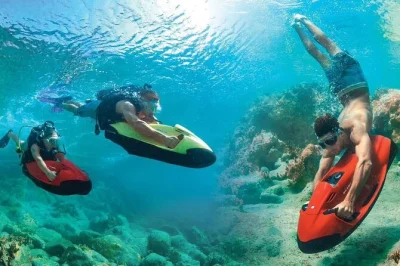 Feel aruba’s underwater world on a seabob tour—explore the antilla shipwreck, swim with turtles, see starfish, with hotel pickup and a local guide included.