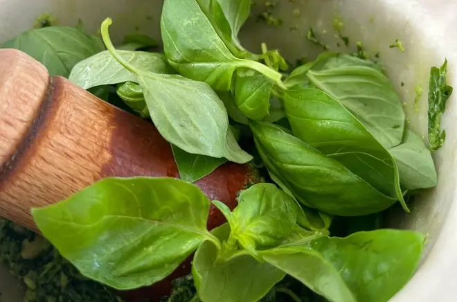 Pesto lernen in Riomaggiore: Großmutters Rezept