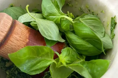 Learn Pesto in Riomaggiore: Grandmother's Recipe Class