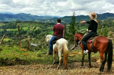 Respira el aire puro de medellín en un paseo privado a caballo con guías locales, recogida en hotel y caballos adaptados a tu nivel.