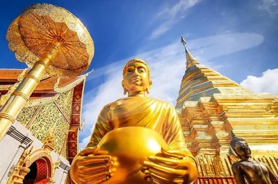 Scopri i templi più famosi di chiang mai con una guida privata. visita doi suthep, chedi luang e suan dok in totale comfort. accessibile in sedia a rotelle. prenota ora il tuo tour.