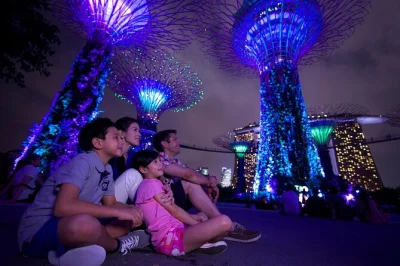 Watch singapore’s skyline glow on a river cruise, stroll through gardens by the bay at night, and catch two spectacular light shows. includes pickup & local guide.