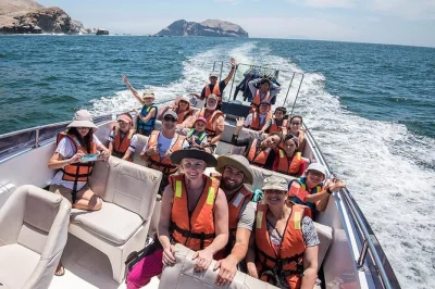 Feel the ocean air near lima, spot sea lions at palomino islands, swim with wetsuits, and hear local stories—includes snacks and speed boat ride with guide.