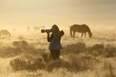 Fotografía de caballos salvajes en Tooele: Instrucción personalizada