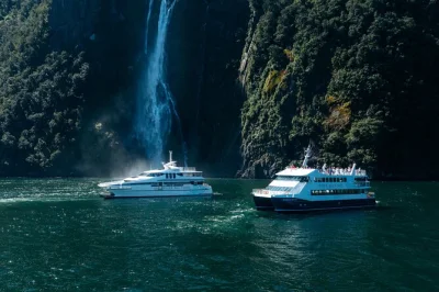 Découvrez milford sound en catamaran spacieux, sentez la brume des stirling falls, observez les phoques sur les rochers et savourez un verre de vin local. café, thé et équipage expert inclus.