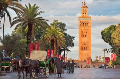 Step from casablanca into marrakech’s medina, ride camels in the palm grove, taste street food, and explore souks with a local guide. includes pickup & bottled water.