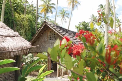 Tauchen sie ein in das morne coubaril estate auf st. lucia für eine lebendige tour im stil des 18. jahrhunderts mit kokosnussverkostung, kakaobohnen-demonstrationen und einer funktionierenden zuckerr