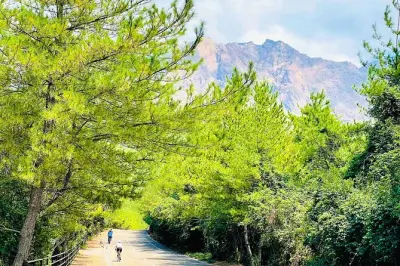 Sakurajima E-bike Tour to Yunohira Observatory from Kagoshima