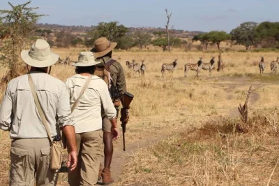 Erleben sie eine 2-tägige lodge-safari in tansania zum ngorongoro-krater und lake manyara. privater 4x4, tierbeobachtungen und lokale guides inklusive.