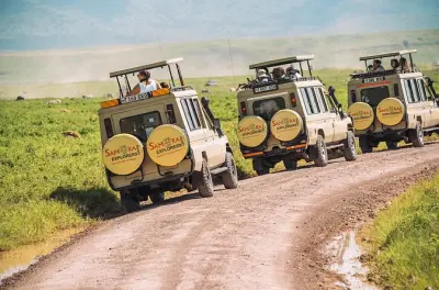 Safari 6 jours en Tanzanie : Tarangire, Serengeti, Ngorongoro