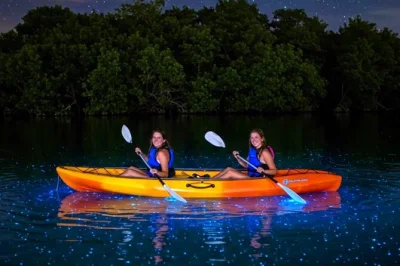 Feel the glow of vieques’ bio bay, paddle clear kayaks, relax at sun bay or esperanza beach, and stroll el malecon—all in one day with ferry & transfers included.