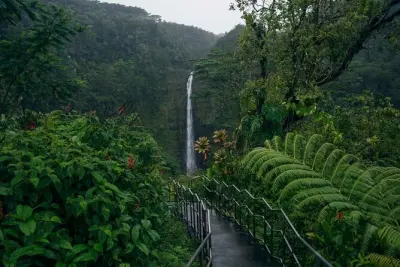 Hilo Shore Excursion: Akaka Falls, Volcano & Black Sand Beach