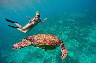 Snorkeling em Gili Air: Barco privado, 4 pontos