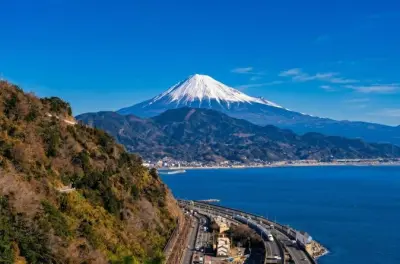 Vista sul monte Fuji da Shimizu: Tour privato o pubblico