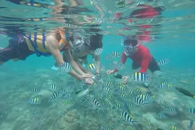 Schnorcheln auf Gili Nanggu, Sudak & Kedis: Privat mit Guide