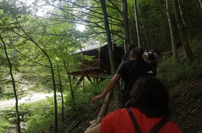 Braunbären in Transsilvanien: Wildbeobachtung ab Brașov