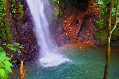 Sip fresh sugar cane juice, hike to 10 waterfalls near jaco, swim in rainforest pools, and enjoy a traditional costa rican lunch—includes pickup and certified guide.