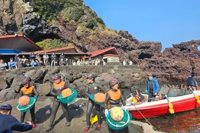 Jeju Seongsan Ilchulbong & Stone Park Privattour mit Guide