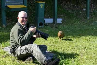 Erlebe eine geführte vogelbeobachtung und delfin-tour ab picton. entdecke seltene vögel, delfine und motuara island mit erfahrenen guides. jetzt marlborough naturtrip buchen.