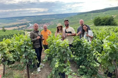 Erlebe Épernay mit champagnerverkostungen, kellerführungen und einem lokalen mittagessen – inklusive abholung vom hotel in paris. kleine gruppe, echte geschichten und jede menge prickelnder moment