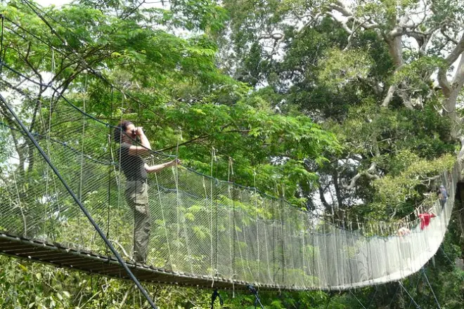Amazon tour Puerto Maldonado: Sandoval Lake & canopy walk
