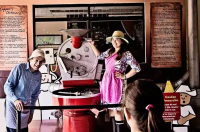Britt Coffee Tour from San José: Plantation to cup
