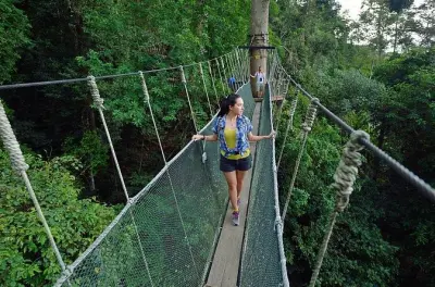 Parque Kinabalu e fontes termais Poring: Caminhada na copa e banhos