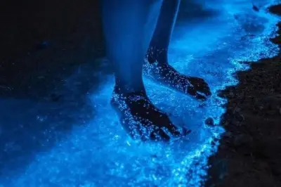 Biolumineszenz-Tour Punta Cocos Holbox: Nachtlagune